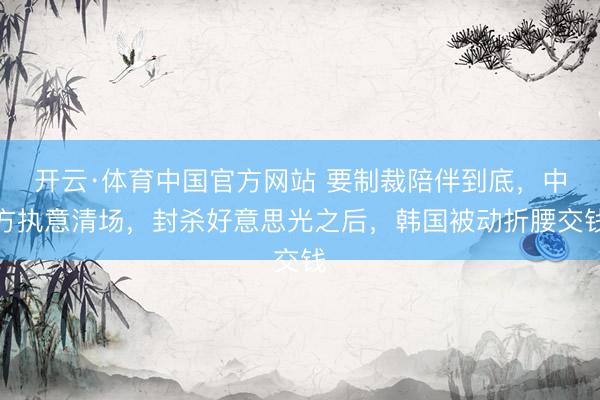 开云·体育中国官方网站 要制裁陪伴到底，中方执意清场，封杀好意思光之后，韩国被动折腰交钱