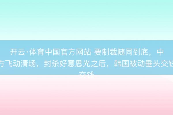 开云·体育中国官方网站 要制裁随同到底，中方飞动清场，封杀好意思光之后，韩国被动垂头交钱