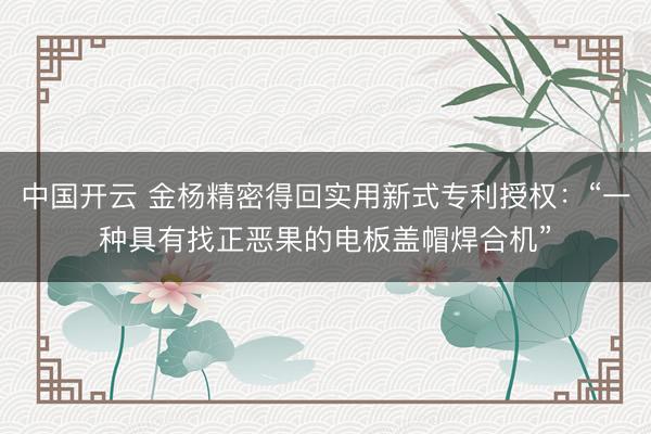 中国开云 金杨精密得回实用新式专利授权：“一种具有找正恶果的电板盖帽焊合机”