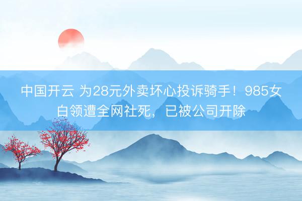 中国开云 为28元外卖坏心投诉骑手!985女白领遭全网社死,已被公司开除